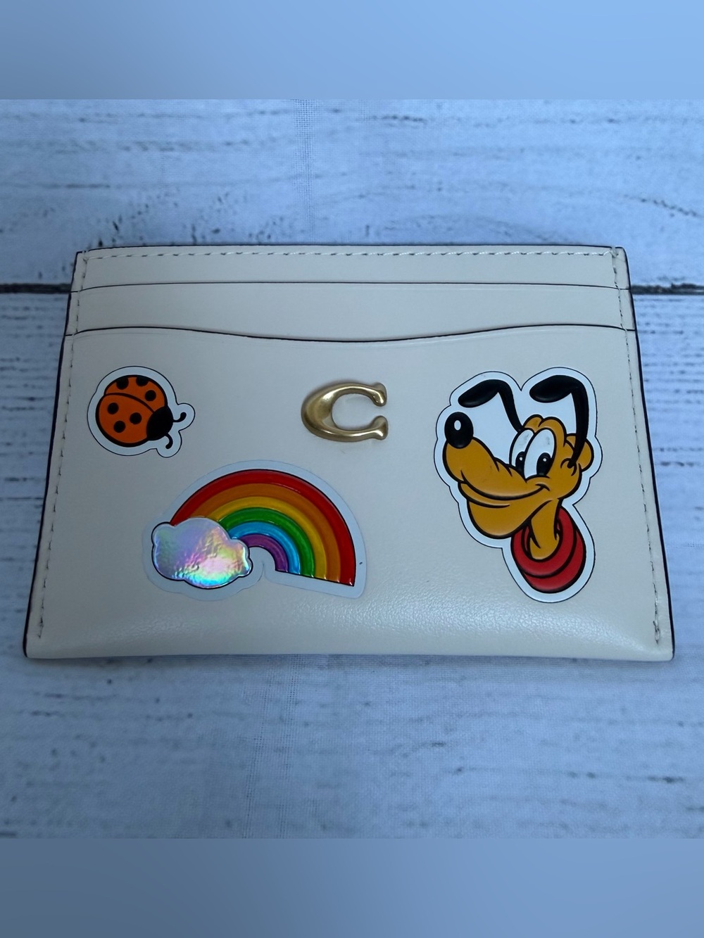Coach Disney cardholder
